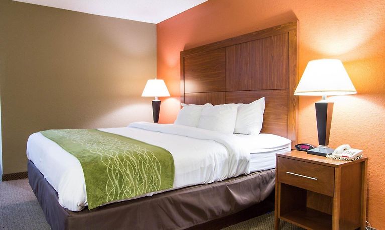 Comfort Inn Suites Airport Convention Center North Charleston