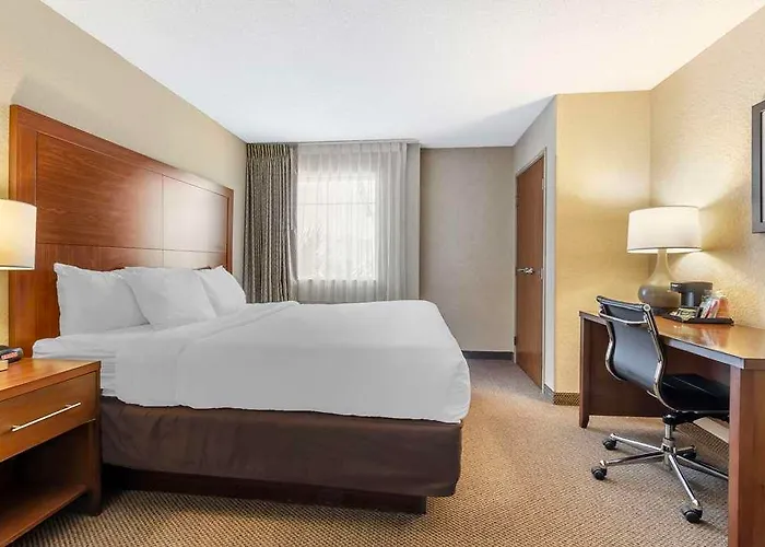Hotel Comfort & Charleston Airport Convention Center