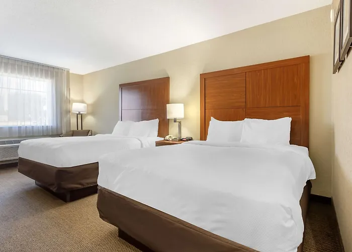 Comfort & Charleston Airport Convention Center Hotel North Charleston