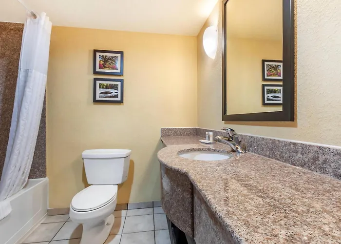 Hotel Comfort & Charleston Airport Convention Center North Charleston