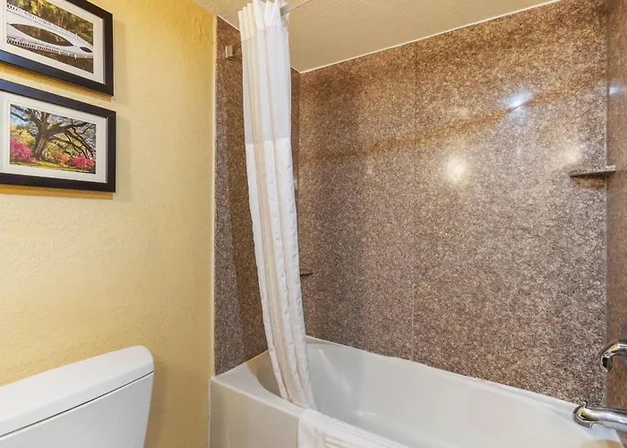 Comfort & Charleston Airport Convention Center 4*