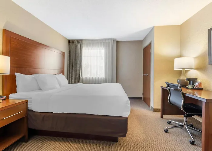 Hotel Comfort & Charleston Airport Convention Center