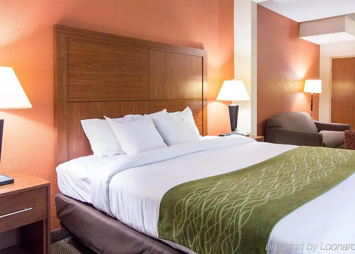 Hotel Comfort & Charleston Airport Convention Center 4*