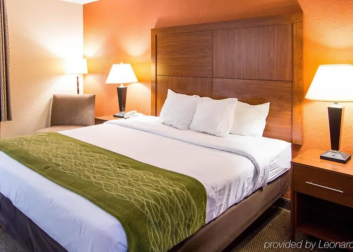 Comfort & Charleston Airport Convention Center North Charleston